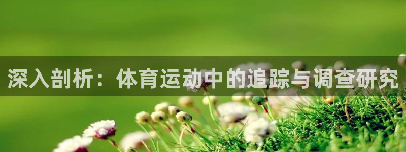 3377体育平台：深入剖析：体育运动中的追踪与调查研究