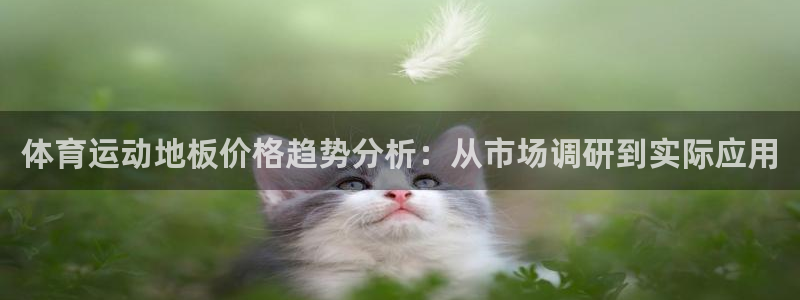 3377体育官网下载：体育运动地板价格趋势分析：从市场调研到实际应用
