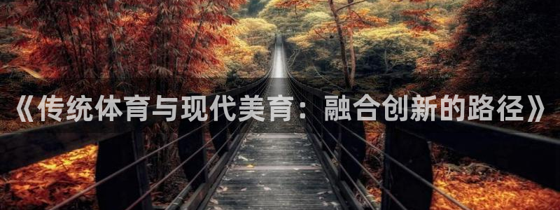 3377体育网页登录入口：《传统体育与现代美育：融合创新的路径》