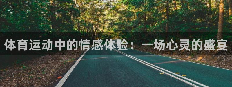 3377体育app下载安装：体育运动中的情感体验：一场心灵的盛宴