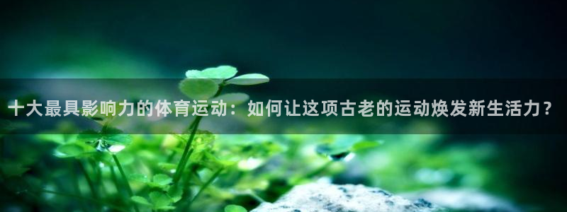 3377体育官网入口下载最新：十大最具影响力的体育运动：如何让这项古老的运动焕发新生活力？