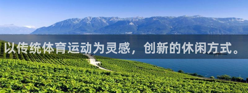 3377体育是正规平台吗：以传统体育运动为灵感，创新的休闲方式。