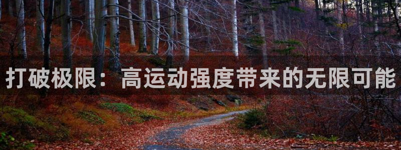 3377体育网页登录入口：打破极限：高运动强度带来的无限可能