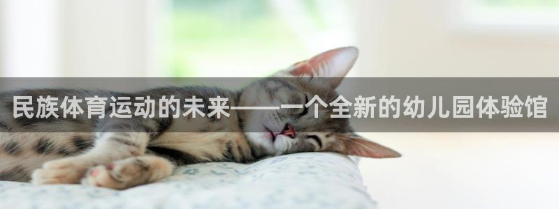 3377体育app官方下载：民族体育运动的未来——一个全新的幼儿园体验馆