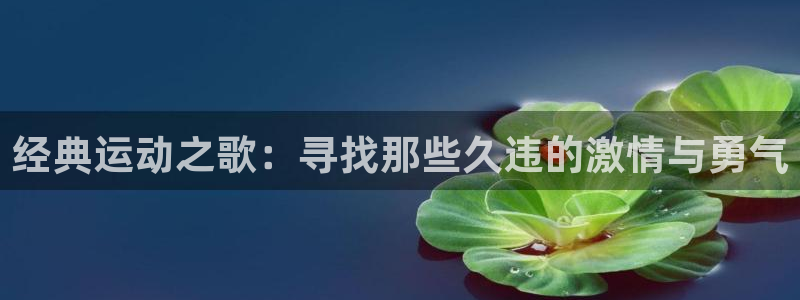 3377体育官网：经典运动之歌：寻找那些久违的激情与勇气