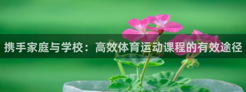 3377体育app下载安装：携手家庭与学校：高效体育运动课程的有效途径