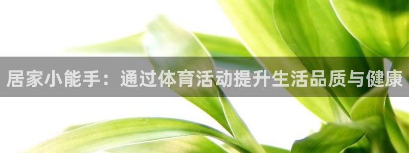 3377体育官网入口下载最新：居家小能手：通过体育活动提升生活品质与健康