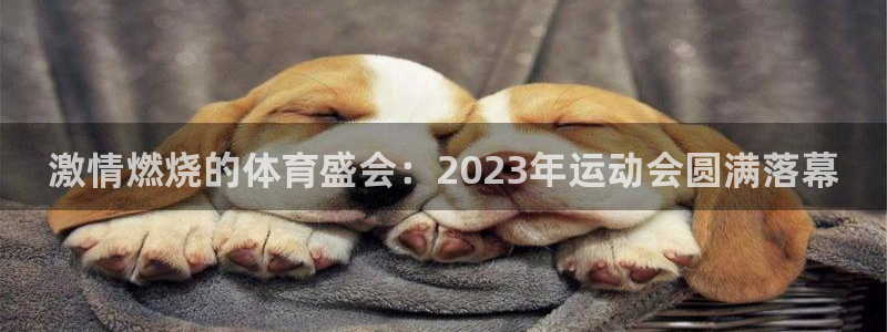 3377体育官网入口下载最新：激情燃烧的体育盛会：2023年运动会圆满落幕