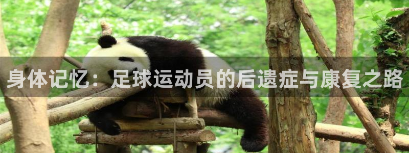 3377体育是正规的吗：身体记忆：足球运动员的后遗症与康复之路