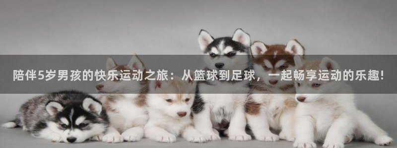 3377体育app下载安装：陪伴5岁男孩的快乐运动之旅：从篮球到足球，一起畅享运动的乐趣!